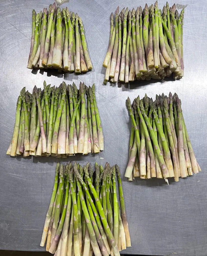 Bundled asparagus spears