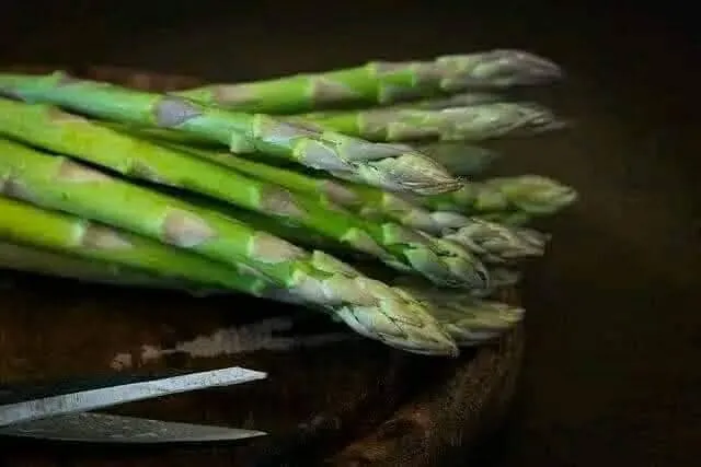 Close-up of fresh asparagus