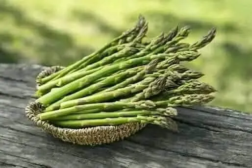 Asparagus display