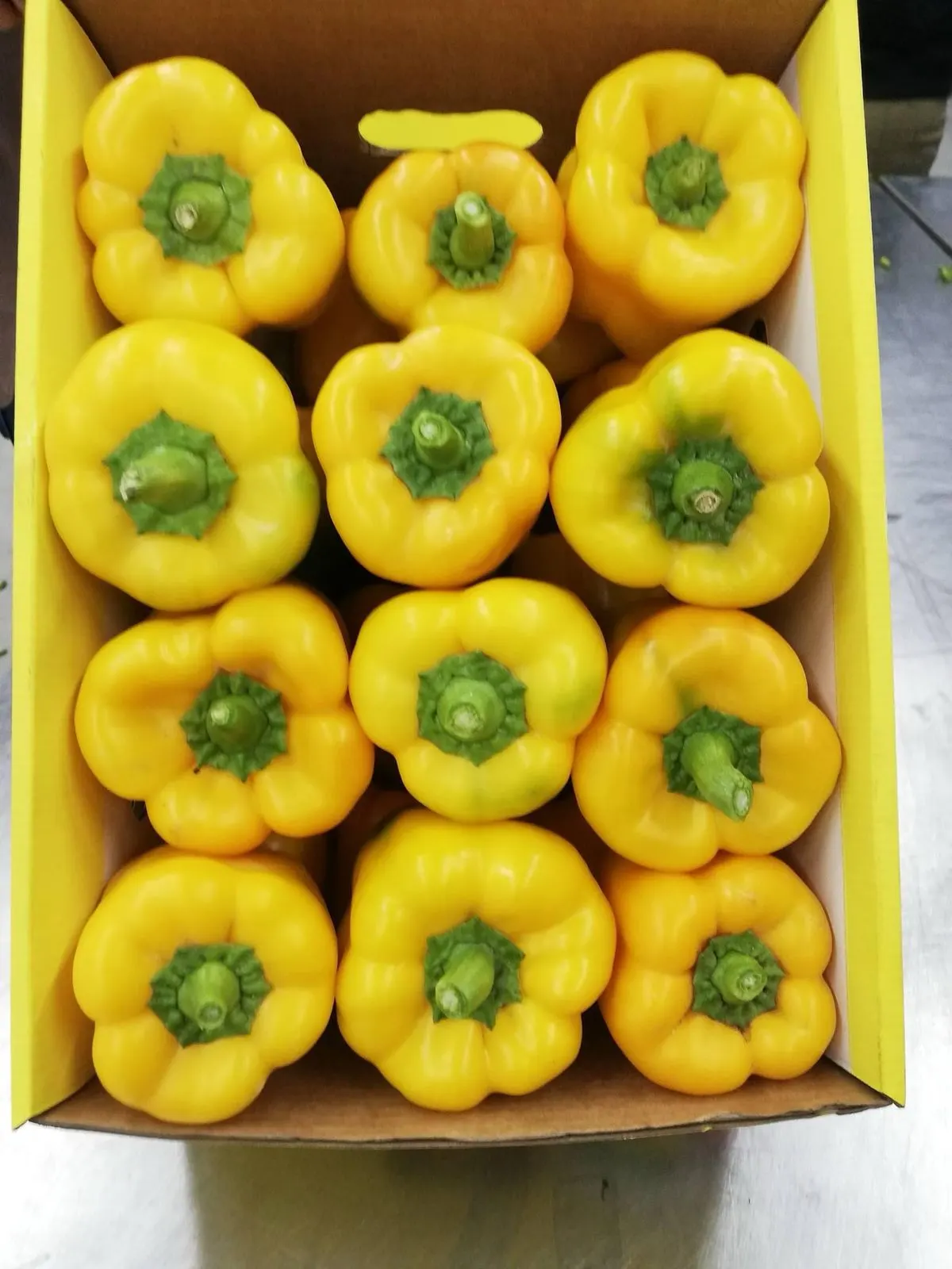 Sweet Bell Peppers