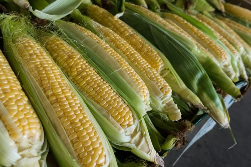 Fresh Sweet Corn
