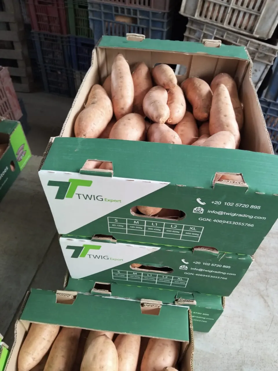 Sweet Potatoes 6