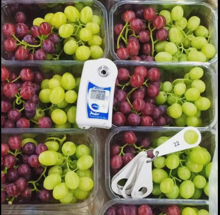 Premium Grapes 2