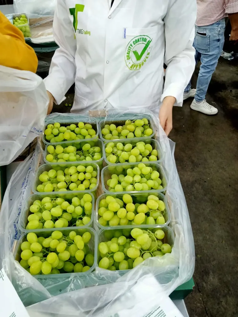 Premium Grapes 6