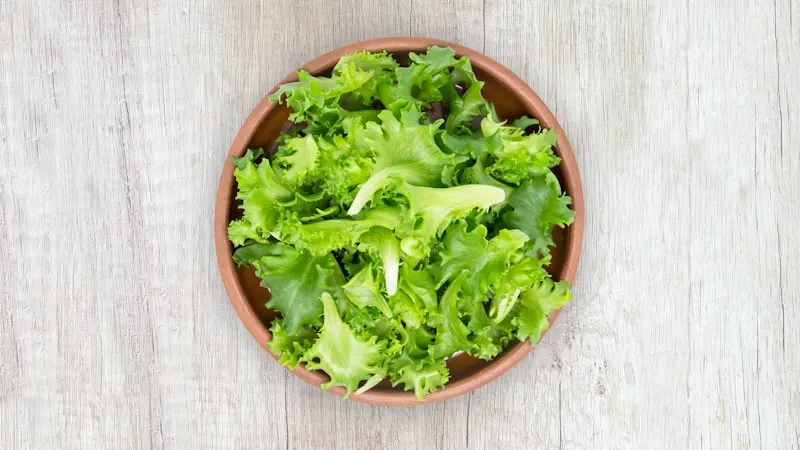 Fresh Iceberg Lettuce
