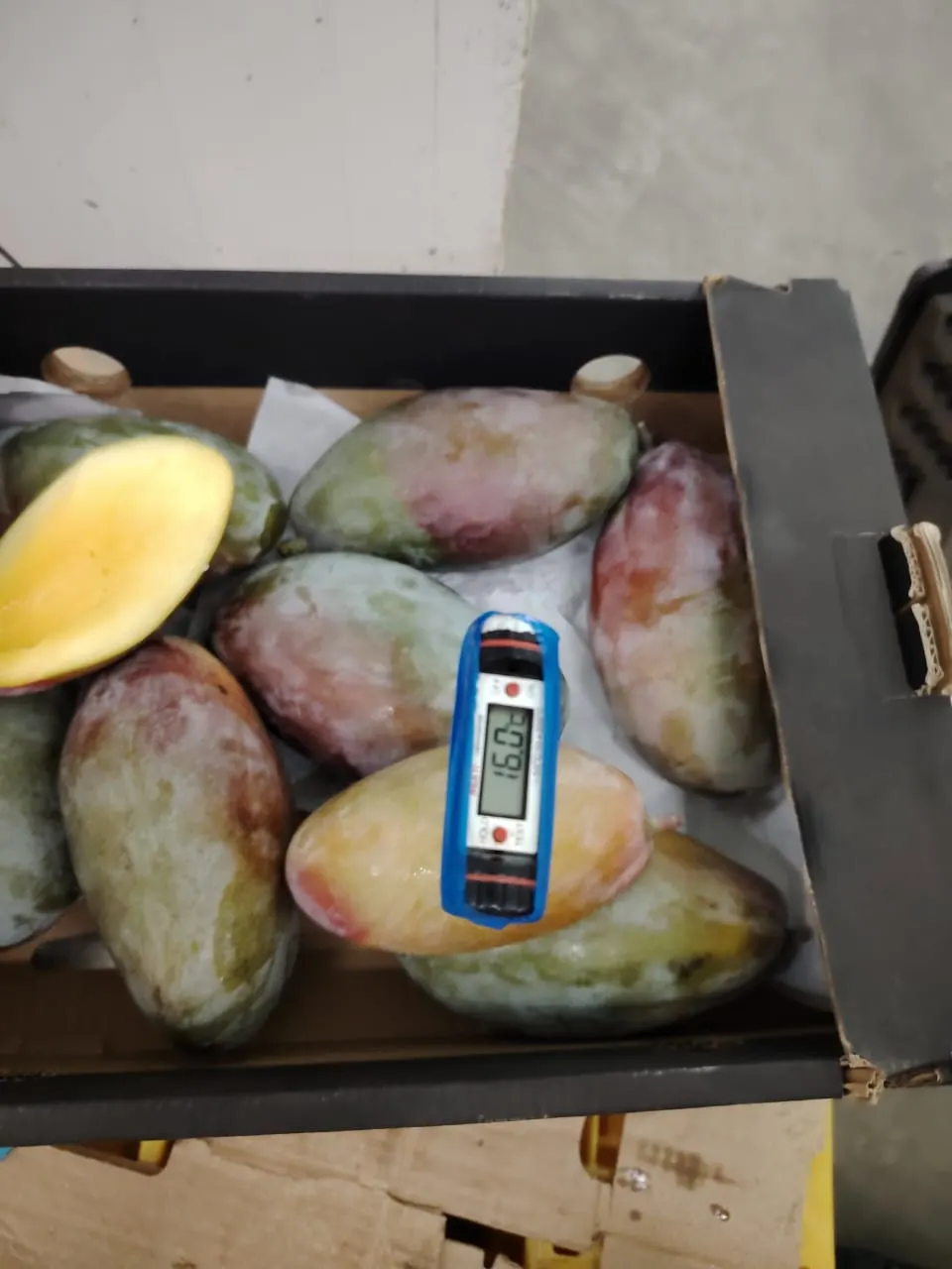 Premium Mangoes 5