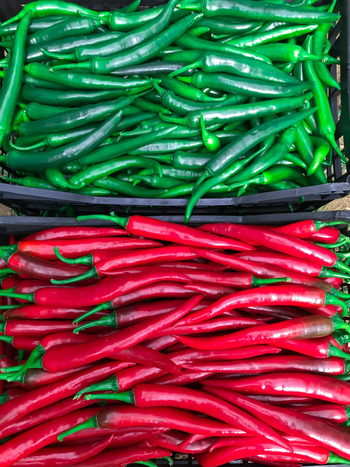 Green and red hot peppers in boxes