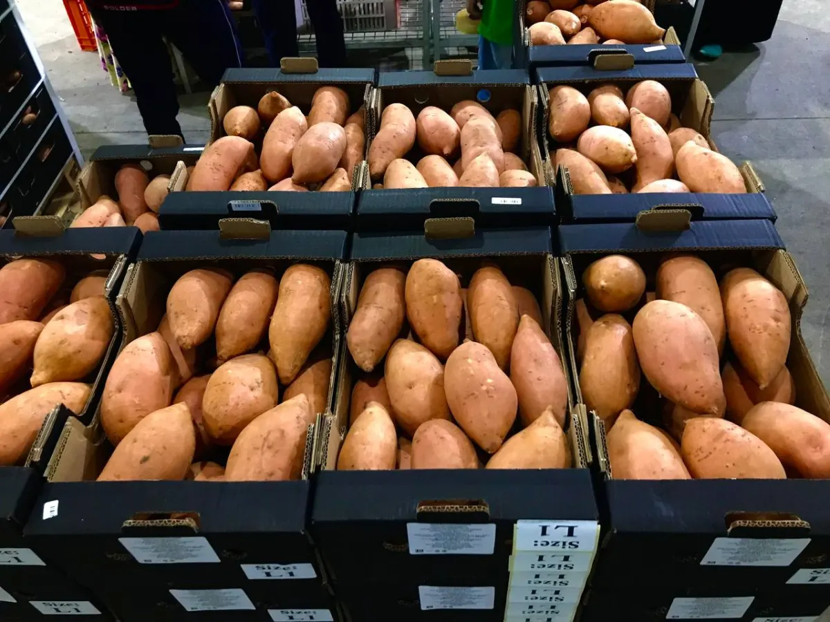 Sweet Potatoes 7