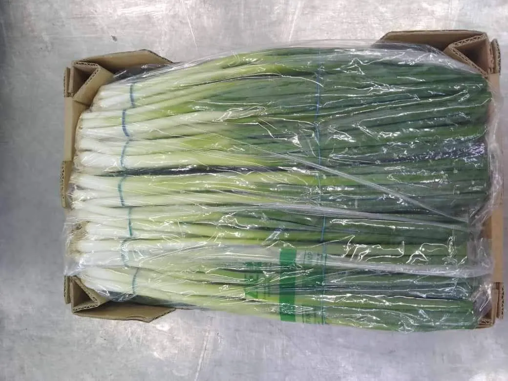 Spring Onions Box