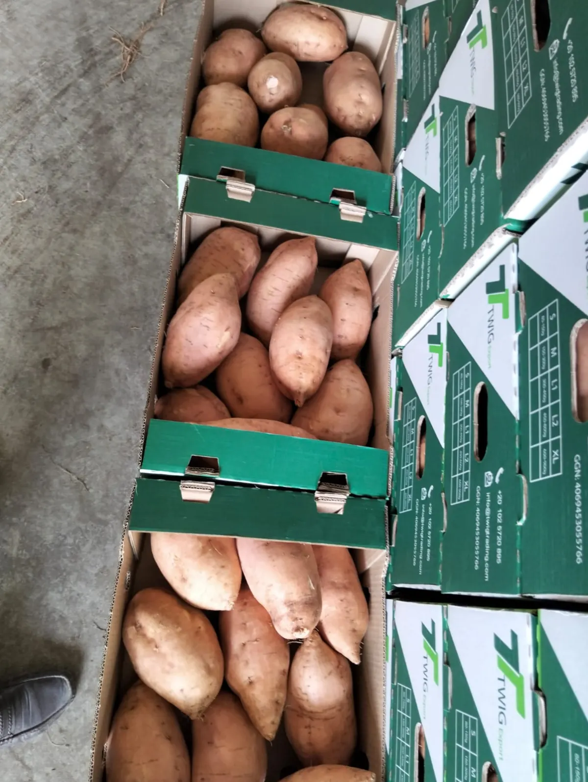 Sweet Potatoes 1
