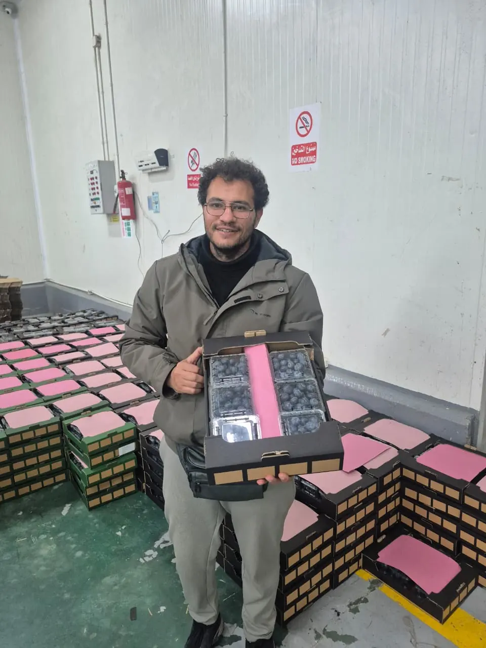 Blueberry punnets in a produce packing room