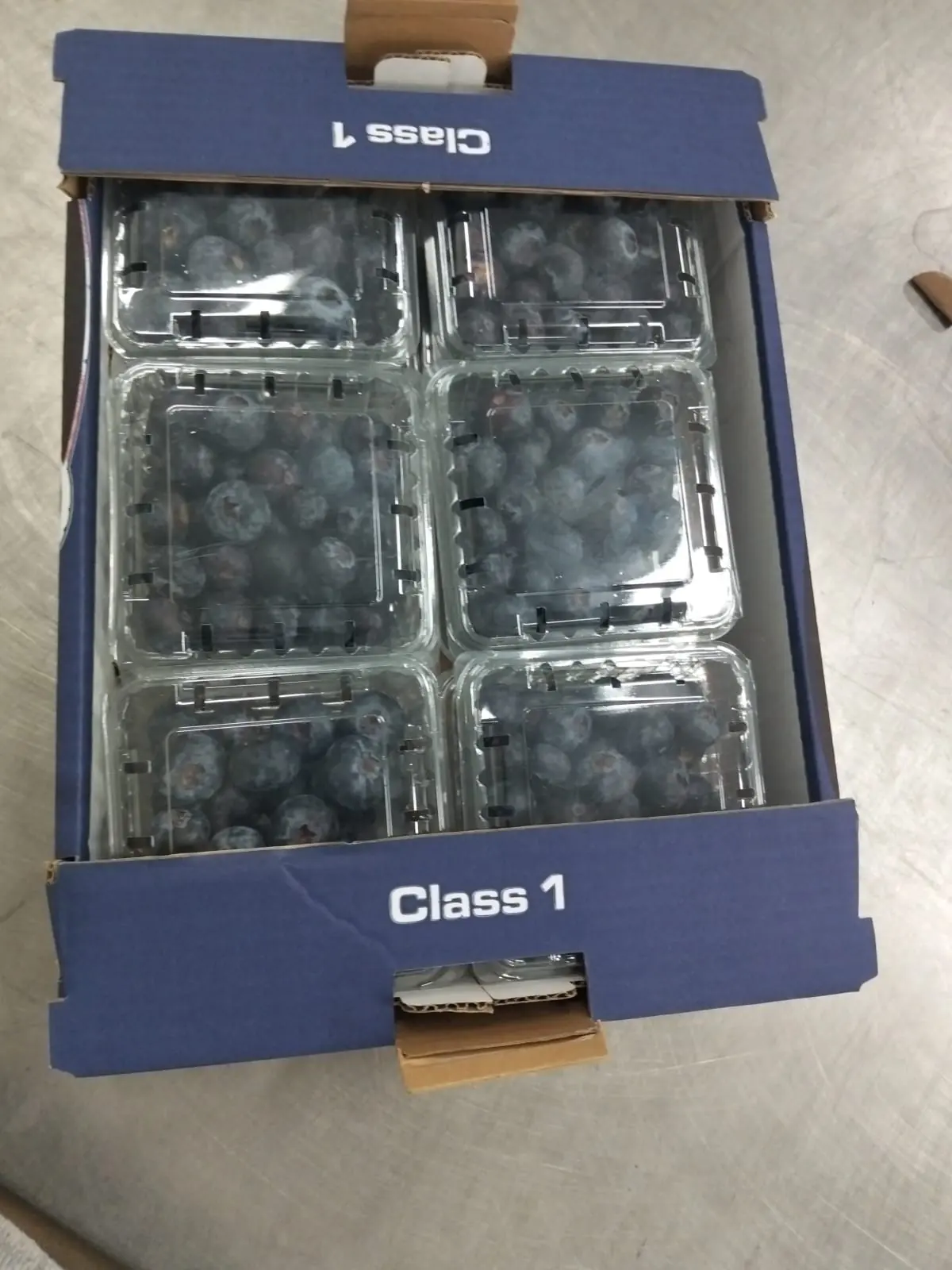 Blueberry carton with six punnets