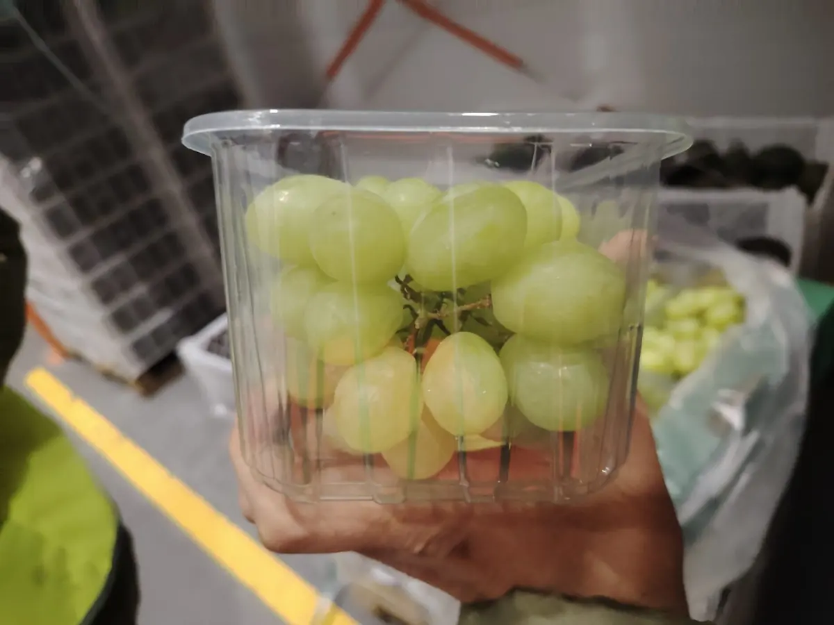 Close view of green grapes in a punnet