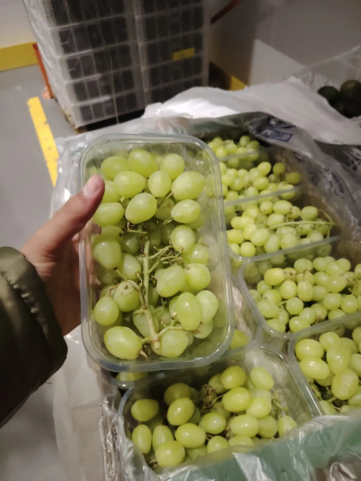 Fresh green grapes packed in punnets