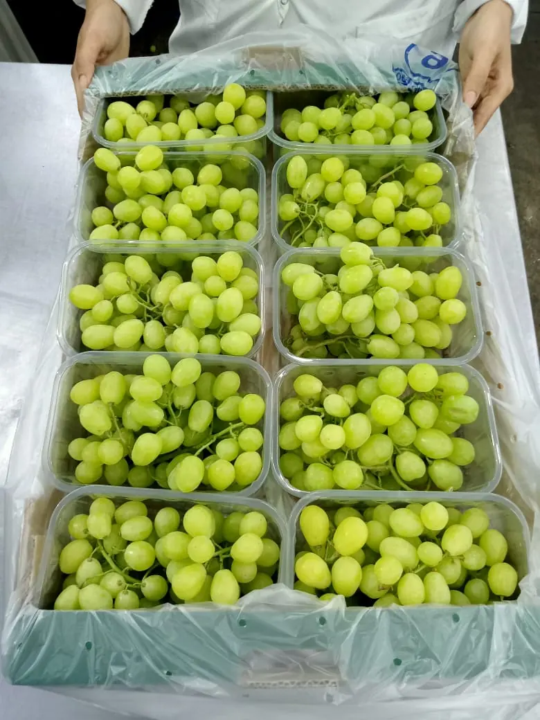 Close view of a tray of green grape punnets