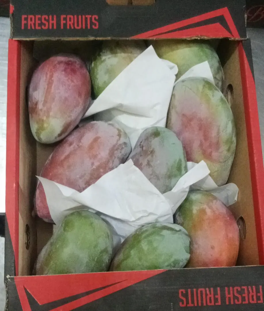 Mangoes packed in a carton