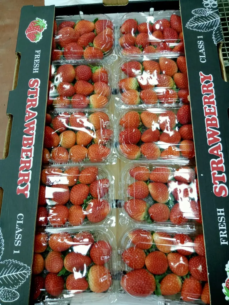 Strawberry punnets packed in a carton