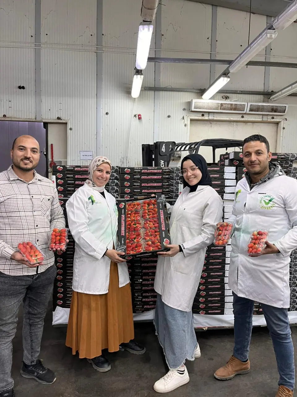TWIG Trading team with packed strawberries