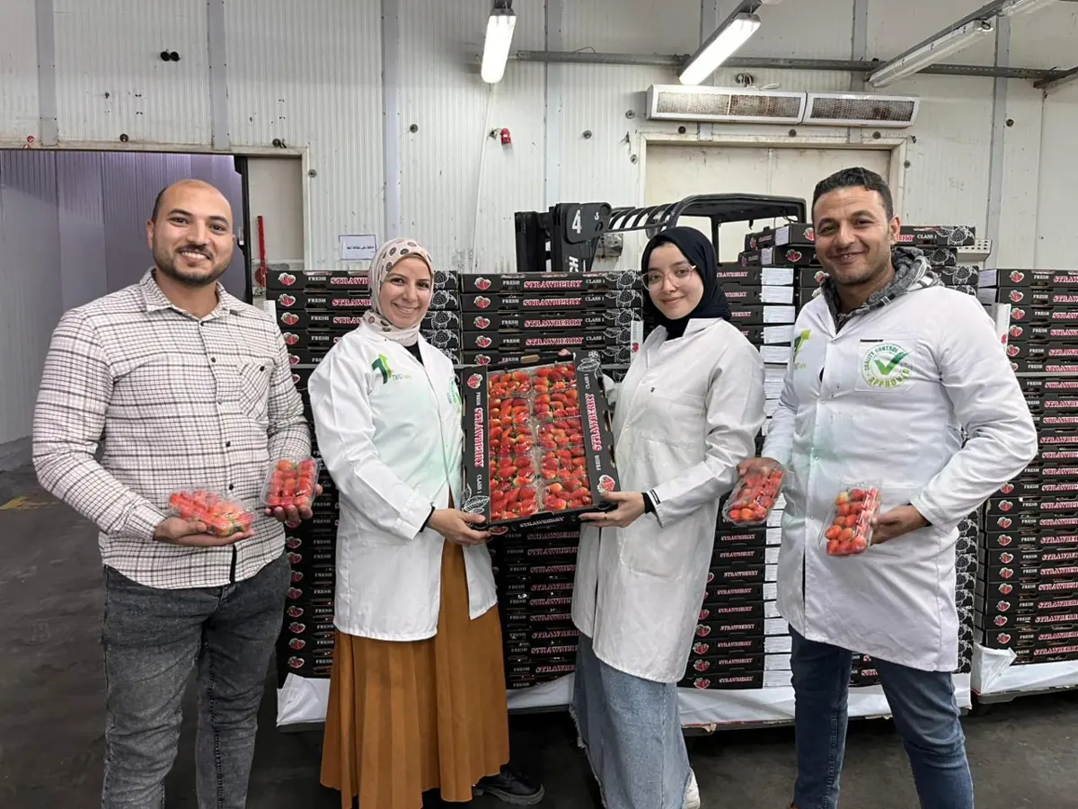 Team displaying strawberry punnets and cartons