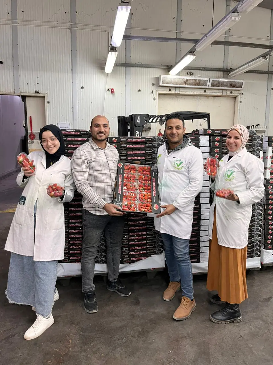 Strawberry packing team at the facility