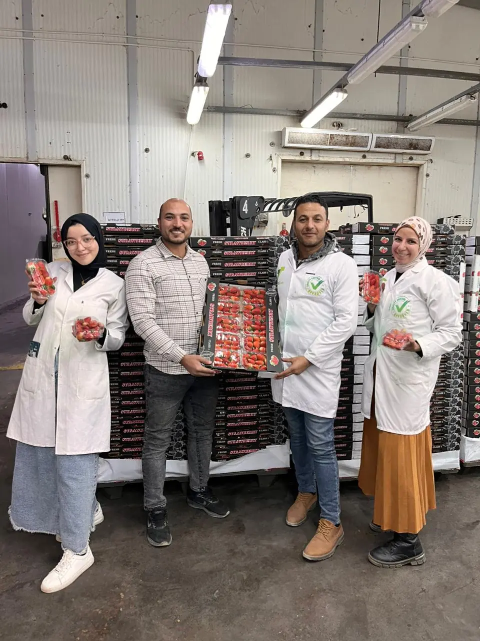 Strawberry team displaying packed fruit