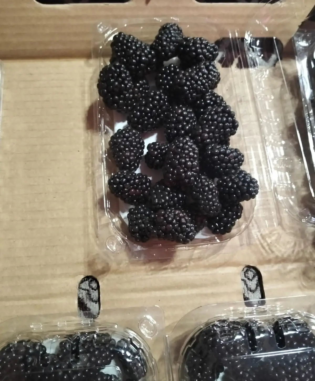 Fresh Blackberries
