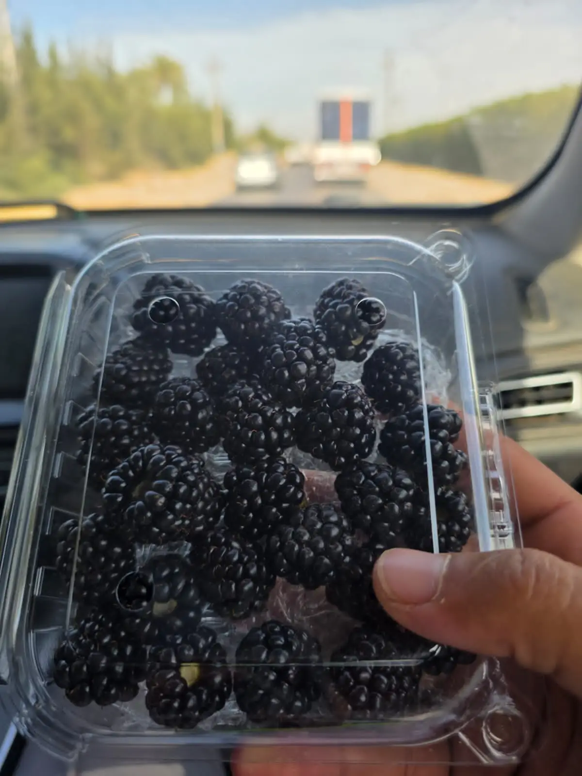 Blackberries — fresh produce and packing view