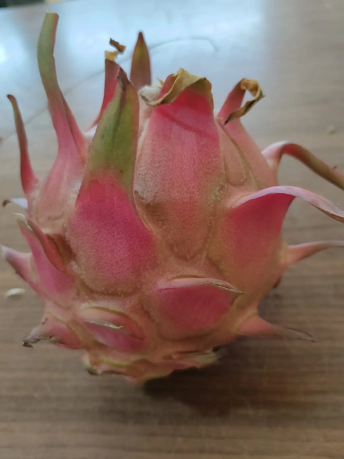 Dragon fruit — fresh produce and packing view