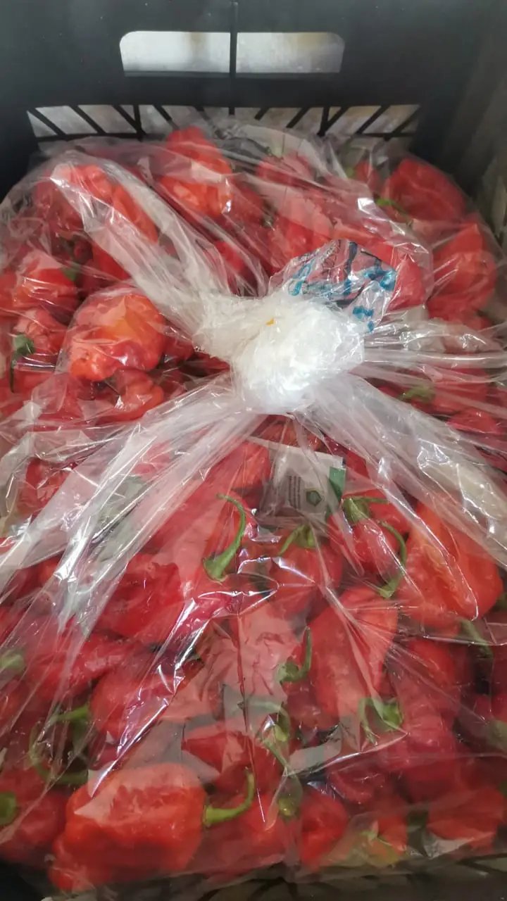 Habanero peppers — fresh produce and packing view